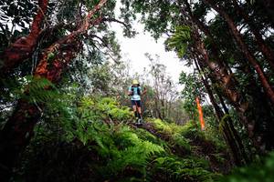 BIB: 
                            <button type="button" onclick="openModal(26202295)" class="btn btn-primary btn-sm float-right btn-popup" data-toggle="modal" data-target=".modal-high-quality">
                        <i class="fas fa-shopping-cart"></i> Add to Cart
                    </button>
                                            <button type="button" onclick="isThisMe(26202295, true)" class="btn btn-success btn-sm float-right btn-popup btn-isme hidden" data-toggle="tooltip" data-placement="bottom" title="นี่คือรูปของคุณใช่ไหม คลิกที่นี่เพื่อเอาเข้าอัลบั้ม">
                        <i class="fas fa-plus"></i> Add to album
                    </button>
                    <button type="button" onclick="isThisMe(26202295, false)" class="btn btn-warning btn-sm float-right btn-popup btn-isnotme hidden">
                        <i class="fas fa-ban"></i> Remove from album
                    </button>